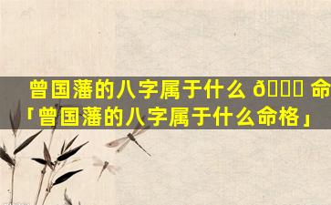 曾国藩的八字属于什么 🐞 命「曾国藩的八字属于什么命格」